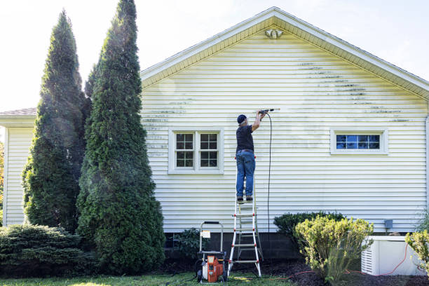 Best Driveway Pressure Washing  in Wilton Manors, FL